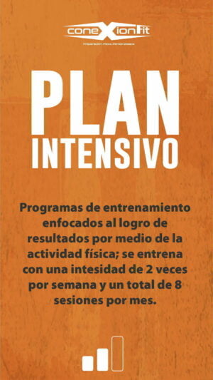 Plan Intensivo