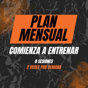 Plan Mensual