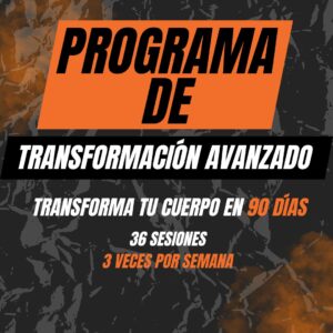 Programa de Transformación Avanzado