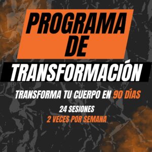Programa de Transformación